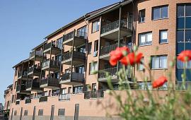 padua nieuws belangrijk verzekeringen
