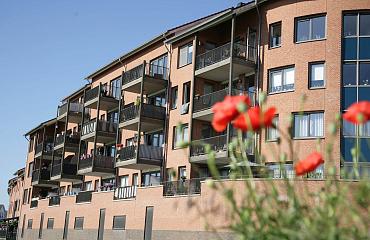 Belangrijk: verzekeringen 